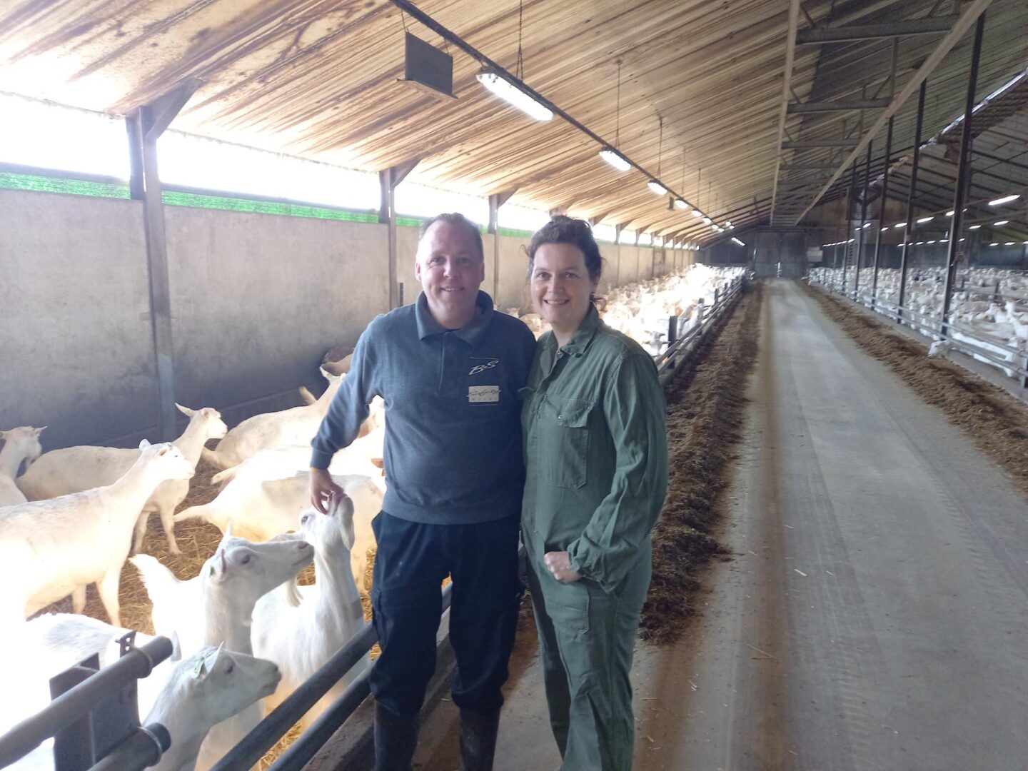 Bosch Beton - Sleufsilo's op geitenbedrijf van familie Krekels in Baexem (Limburg)