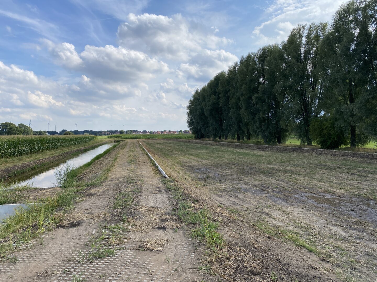 Bosch Beton - Keerwanden voor noodberging Ossehaar in Coevorden (Beeld © Waterschap Vechtstromen)